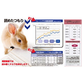 速読うさぎ+データ